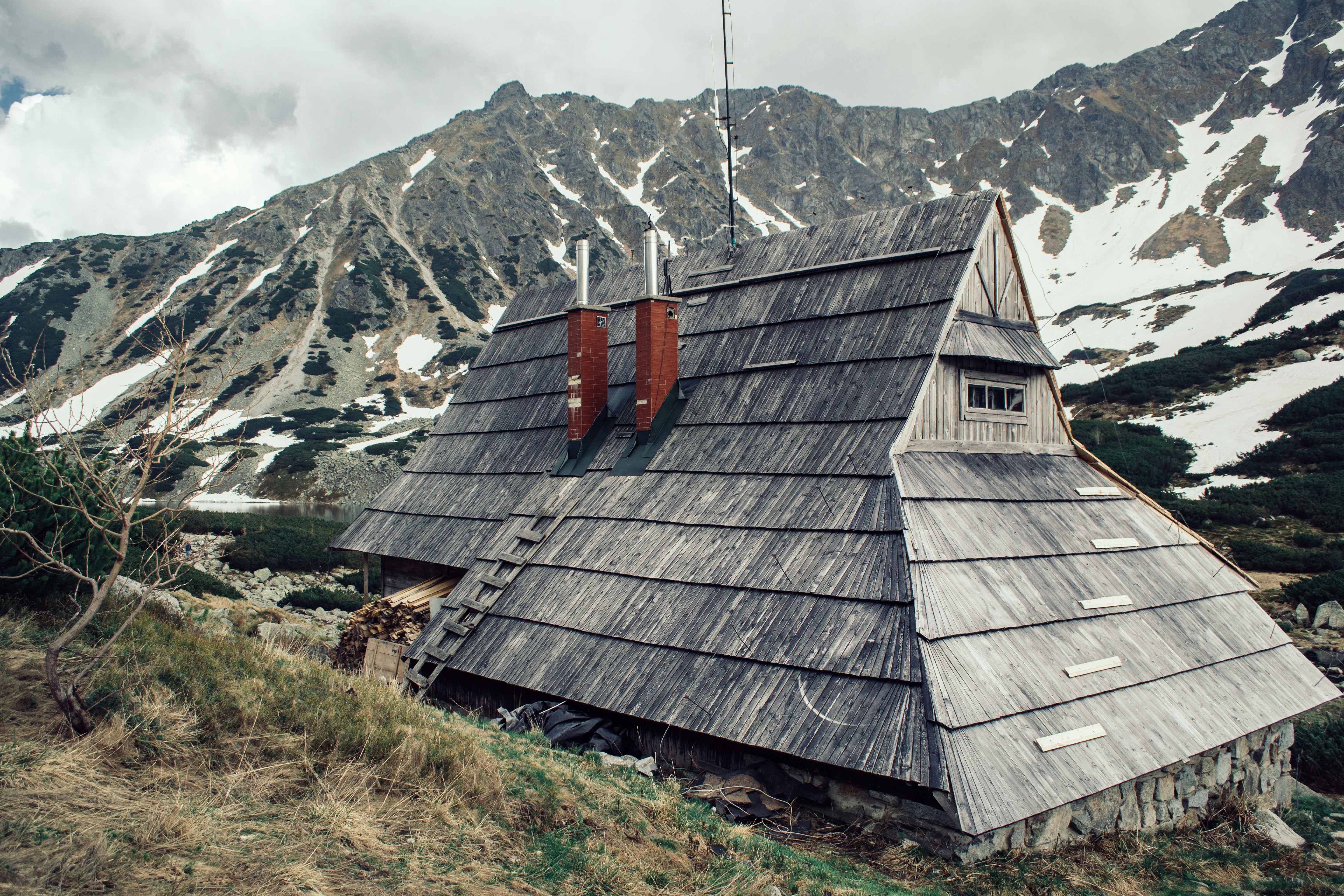 gray house beside green grasses